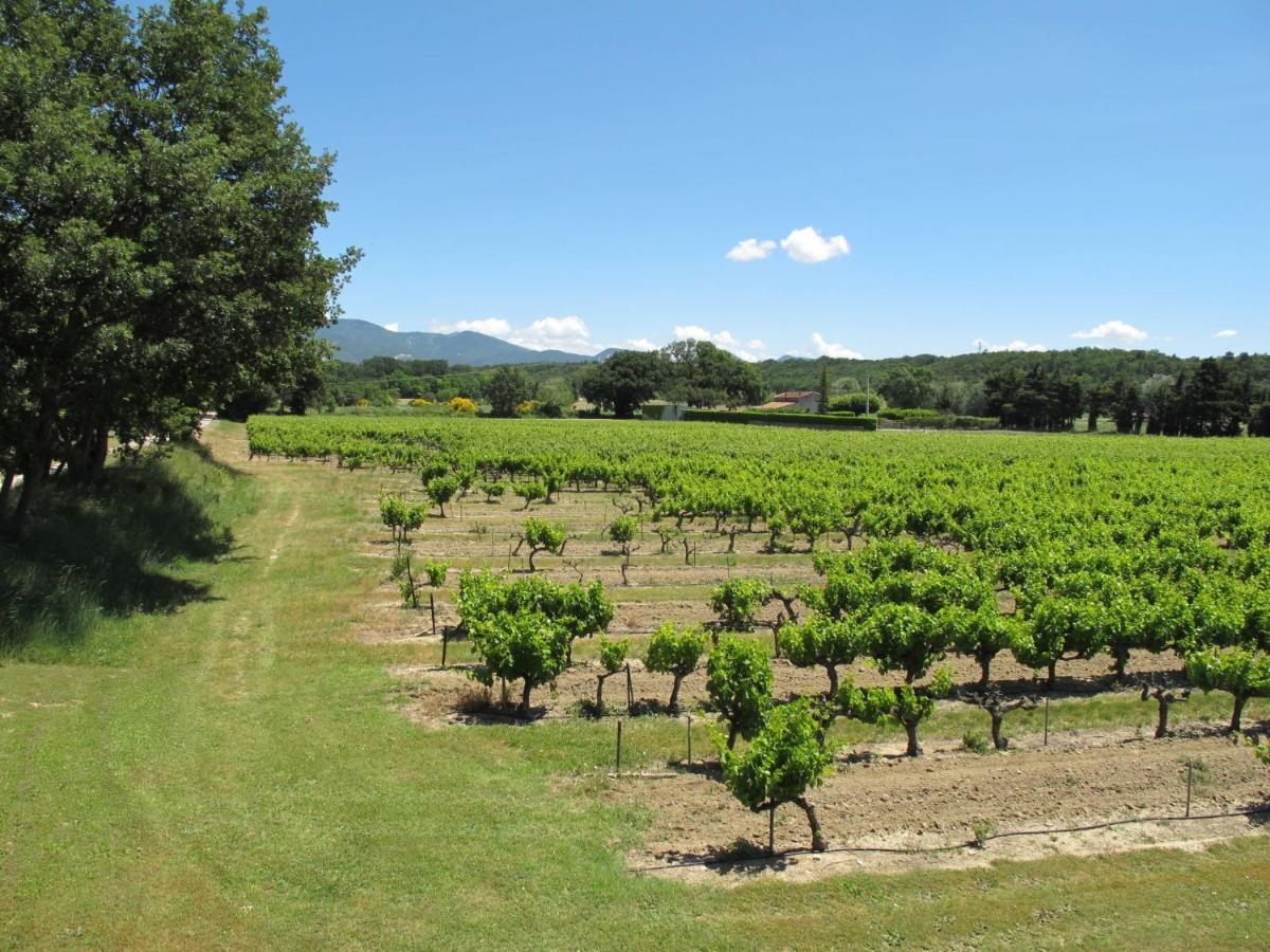 Holiday Home La Cardeline - GRG200 Grillon Esterno foto